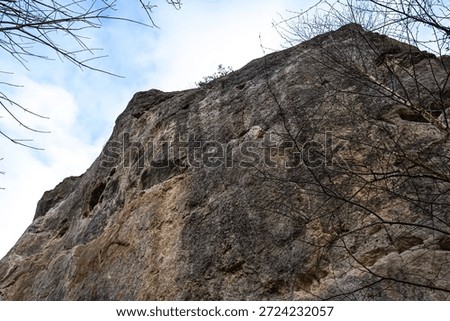 A dramatic low-angle view of a sheer, textured rock cliff face with sparse, leafless branches framing the scene under a pale blue, overcast sky