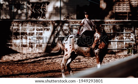 Dramatic Lowkey of 8 years old Muslim Asian girl riding horse or practicing in horse ranch.Image with light and shadow.