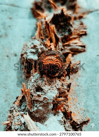 Dramatic macro photography showcasing heavy rust texture on a metal object and splintered wood fibers embedded in a gritty concrete surface. Creative teal and orange color grading.