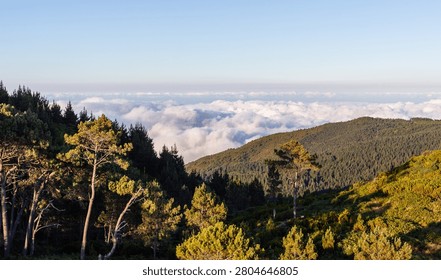 Dramatic Madeira landscape with rolling clouds over lush green mountains. Dense forests meet misty peaks. Sky blends with earth in natural scenery. Portugal island panoramic view.