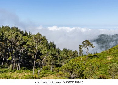 Dramatic Madeira landscape with rolling clouds over lush green mountains. Dense forest meets misty peaks. Atlantic island scenery under shifting skies. Natural coastal wilderness view.