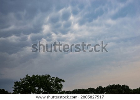 Dramatic mammatus cloud formation over tree line with soft evening light