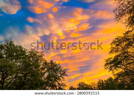 Dramatic mammatus clouds glowing at sunset after a passing storm in the evening sky
