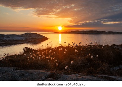 Dramatic midsummer sunset over the rugged coastline of Øygarden, located on Norway’s western seaboard. The glowing sun sinks toward the horizon, casting a warm golden and orange reflection across the 