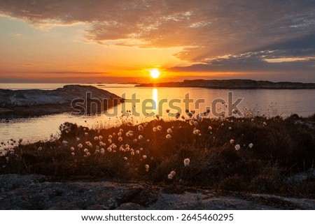Dramatic midsummer sunset over the rugged coastline of Øygarden, located on Norway’s western seaboard. The glowing sun sinks toward the horizon, casting a warm golden and orange reflection across the 
