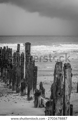Dramatic monochrome beach landscape with rustic wooden groynes at Spurn Head, Yorkshire, UK.