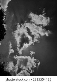Dramatic monochrome cloudscape in black and white with vivid sunlight bursting through heavy dark clouds, framed naturally by tree branch silhouettes on the side, perfect for cinematic backgrounds and atmospheric creative designs.