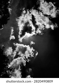 Dramatic monochrome cloudscape in black and white with vivid sunlight bursting through heavy dark clouds, framed naturally by tree branch silhouettes on the side, perfect for cinematic backgrounds and atmospheric creative designs.