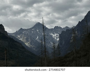 Dramatic moody landscape of sharp jagged rocky Tatra mountain peak with snow patches in couloirs framed by dark silhouettes of dead spruce trees from bark beetle infestation under heavy stormy overcast sky with valley forest below. Wilderness mountain scenery in Tatra National Park, Poland.