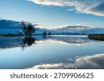 Dramatic morning image if the salt fields in Marysville , california, with cloudy skies and reflections in the flooded fields.