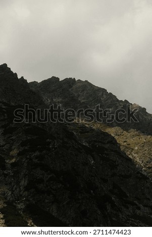 Dramatic Mountain Cliff Face Texture Detail