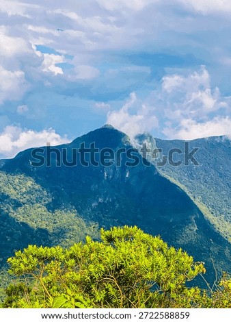 Dramatic mountain cliffs at World’s End, Sri Lanka, surrounded by dense green forest and soft clouds. Iconic viewpoint in Horton Plains showcasing the raw beauty of Sri Lanka’s highlands.