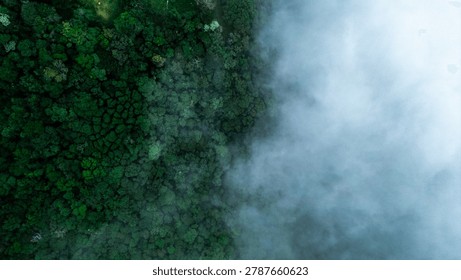 Dramatic mountain landscape featuring Pedra do Baú rising above dense fog and low clouds in the Serra da Mantiqueira region of southeastern Brazil. The massive rock formation dominates the scenery with steep walls and rugged terrain surrounded by forested hills and elevated peaks. Soft diffused light filters through mist covering the mountains, creating a cinematic atmosphere associated with adventure, exploration and remote highland environments.

The location is widely recognized for climbing, hiking and mountaineering activities, attracting visitors seeking outdoor experiences and panoramic views above the clouds. Trails crossing the mountainsides reveal changing weather conditions typical of high elevation regions, where fog and moving clouds constantly transform the scenery. The combination of dramatic relief, natural textures and expansive horizons creates a visually striking environment connected with ecotourism and adventure travel.

This scene was photographed at Pedra do Baú in the Serra da Mantiqueira, a famous destination in Brazil admired for rock climbing routes, mountain landscapes and scenic viewpoints surrounded by preserved nature in South America.