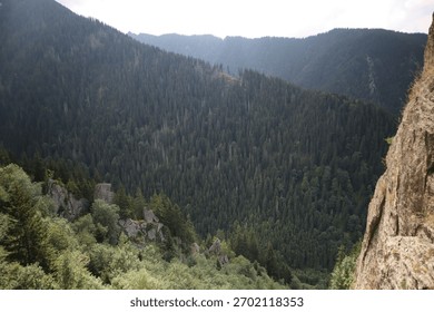 A dramatic mountain landscape featuring a vast, densely wooded valley covered primarily with evergreen trees. 