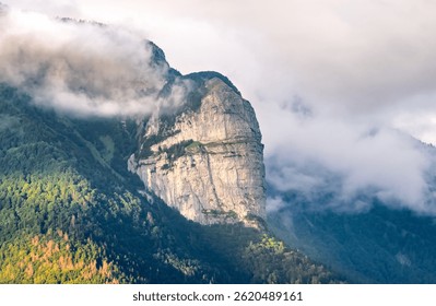 Dramatic mountain landscape with forest, mist and scattered light in the Alps