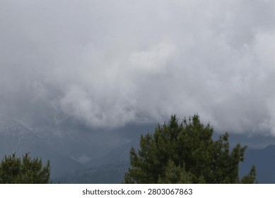 A dramatic mountain landscape is heavily enveloped under a massive, stormy sky. In the foreground along the bottom, the tops of dense, green evergreen pine trees emerge, their rich foliage providing a touch of natural color against the otherwise muted tones of the scene.

Behind the tree line, a rugged mountain range stretches across the distance. The steep, dark slopes on the left give way to high-altitude peaks that are capped with patches of white snow and ice. The vast majority of the mountain peaks are completely consumed by a thick, heavy blanket of swirling grey and white clouds. These low-hanging storm clouds mask the high summits, creating a highly atmospheric and moody environment filled with deep mist and fog. The flat, diffused daylight filtering through the thick cloud deck casts a somber, chilly tone over the entire untouched wilderness.