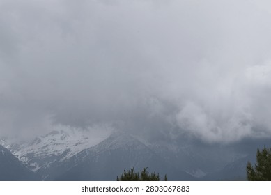A dramatic mountain landscape is heavily enveloped under a massive, stormy sky. In the foreground along the bottom, the tops of dense, green evergreen pine trees emerge, their rich foliage providing a touch of natural color against the otherwise muted tones of the scene.

Behind the tree line, a rugged mountain range stretches across the distance. The steep, dark slopes on the left give way to high-altitude peaks that are capped with patches of white snow and ice. The vast majority of the mountain peaks are completely consumed by a thick, heavy blanket of swirling grey and white clouds. These low-hanging storm clouds mask the high summits, creating a highly atmospheric and moody environment filled with deep mist and fog. The flat, diffused daylight filtering through the thick cloud deck casts a somber, chilly tone over the entire untouched wilderness.