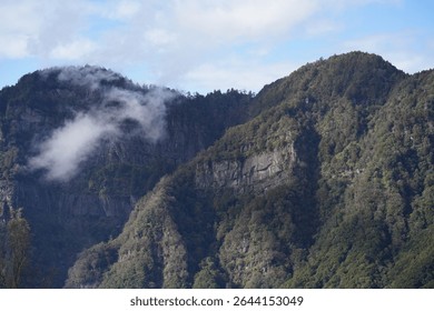 Dramatic mountain landscape with steep cliffs covered in lush forest, partially shrouded in drifting clouds under a bright sky. - Powered by Shutterstock - Get 15% off with code: PIKWIZARD15
