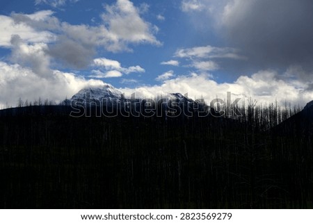 A dramatic mountain peak dusted with snow rises behind a dense forest of burnt trees. The stark, blackened tree trunks create a heavy silhouette against the landscape. Above, a dynamic sky filled with bright white clouds and dark storm clouds opens up to patches of brilliant blue, highlighting the rugged alpine wilderness.