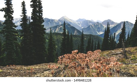 skyline trail manning park