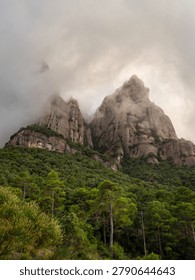 A dramatic mountain range partially obscured by low-hanging clouds, surrounded by lush greenery in a forested area.