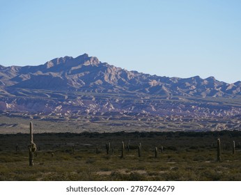 Dramatic mountain range with a rugged cactus valley in the foreground beneath the fading sky in Salta, Argentina