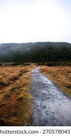 Dramatic mountain trail through untouched wilderness in Aoraki Mount Cook, New Zealand, featuring rocky pathways and golden alpine grass.