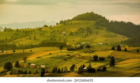 Dramatic mountain views from Transrarău, where winding roads cut through lush forests and mist-covered peaks. Each scene captures the wild beauty of Bucovina in vivid, picturesque detail.