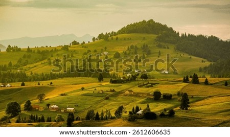 Dramatic mountain views from Transrarău, where winding roads cut through lush forests and mist-covered peaks. Each scene captures the wild beauty of Bucovina in vivid, picturesque detail.