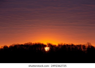 Dramatic ombre sunset with ball of sun shining through tree horizon  - Powered by Shutterstock