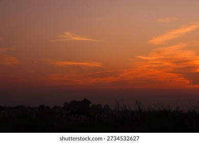 Dramatic orange and red sunset sky illuminating silhouetted landscape with feathery grass and flying bird at twilight.