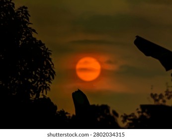 Dramatic orange sun setting over dense forest foliage