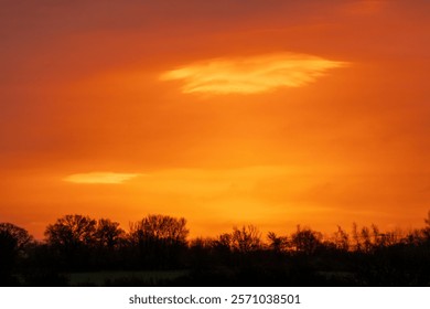 A dramatic orange sunset over the British countryside with silhouetted trees on the horizon. The vibrant golden sky creates a stunning rural landscape in the United Kingdom at dusk.