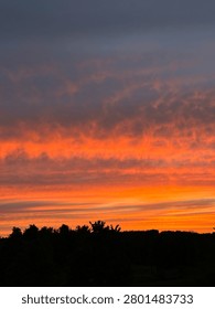 Dramatic orange sunset sky with glowing clouds over a dark silhouetted tree line. Vibrant evening atmosphere ideal for nature, weather, travel and background concepts.