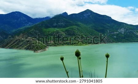 A dramatic outdoor scene featuring a wild thistle plant in the foreground, overlooking a peaceful mountain lake and valley