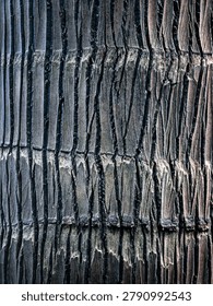 Dramatic Palm Bark Pattern – Abstract Tropical Texture in High Contrast