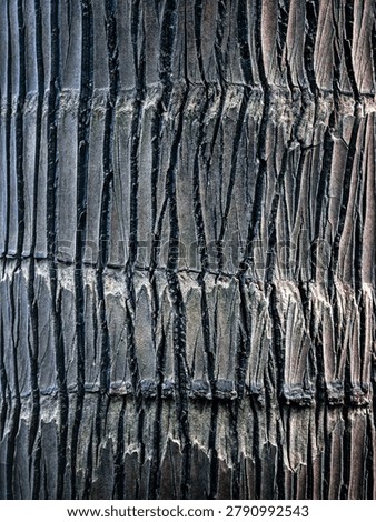 Dramatic Palm Bark Pattern – Abstract Tropical Texture in High Contrast
