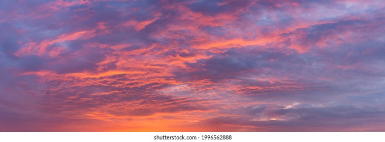Dramatic panorama of cloud blanket texture and detail brightly colorful lit up orange from below at sunset with blue tints in the background. Painterly vibrant weather condition wallpaper backdrop.