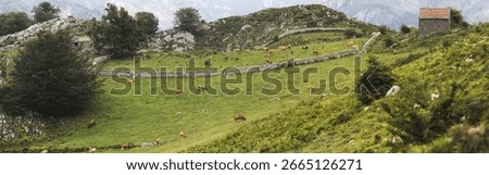 Dramatic panoramic view of Picos de Europa mountains under heavy clouds, with rugged rocky peaks, mist-filled valleys, and sun rays breaking through the moody sky