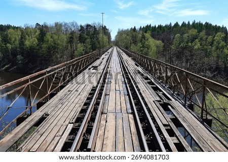 A dramatic perspective of an old railway bridge surrounded by nature. Perfect for travel blogs, or landscape and architecture projects.