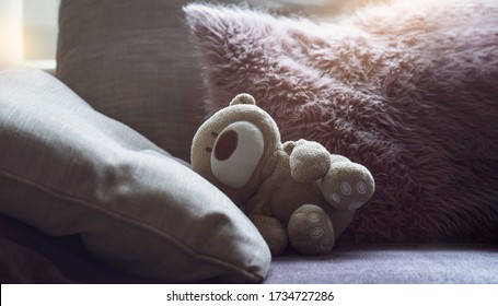 Dramatic photo of Teddy bear is lying on sofa in dark room with sunlight shining from window, lowkey light shot of Lonely teddy laying down alone in living room international missing children's day  - Powered by Shutterstock