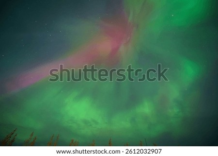 Dramatic pink and green aurora borealis dancing across the night sky in a spectacular natural display