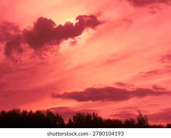 Dramatic pink and red sunset sky with dark clouds over forest silhouette