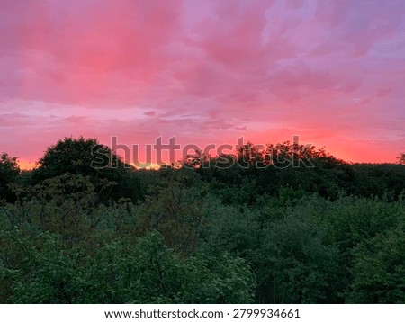 Dramatic pink and red sunset sky over a dense green forest landscape