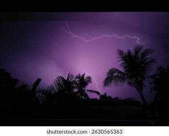 Dramatic purple lightning bolts illuminating tropical palm silhouettes against a dark night sky