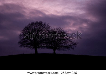 Dramatic purple sky over a pair of trees on a Somerset hill. A late evening image as the sky darkens before a storm