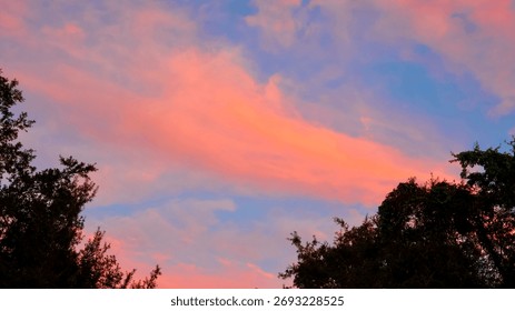 Dramatic red clouds hover above trees in the evening light.. Florida, September 18, 2025