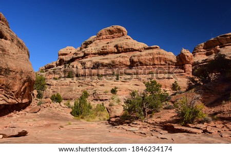 dramatic red  rock formations along the collins spring trail  in the grand gulch area of cedar mesa nera blanding, utah 