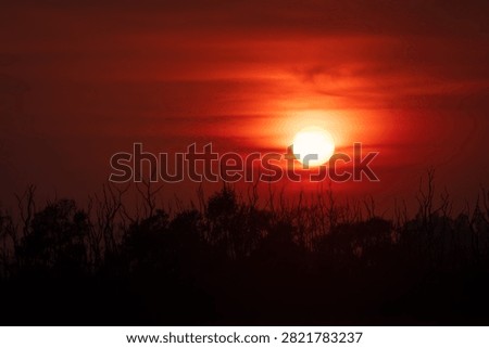 A dramatic red sunset over the River Ganga at Triveni Ghat in Rishikesh, Uttarakhand, India. The glowing sun silhouettes the riverside trees, creating a peaceful landscape that reflects the spiritual beauty and natural charm of one of India's most revered pilgrimage destinations.