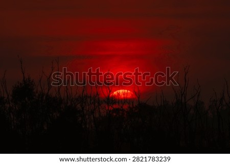 A dramatic red sunset over the River Ganga at Triveni Ghat in Rishikesh, Uttarakhand, India. The glowing sun silhouettes the riverside trees, creating a peaceful landscape that reflects the spiritual beauty and natural charm of one of India's most revered pilgrimage destinations.